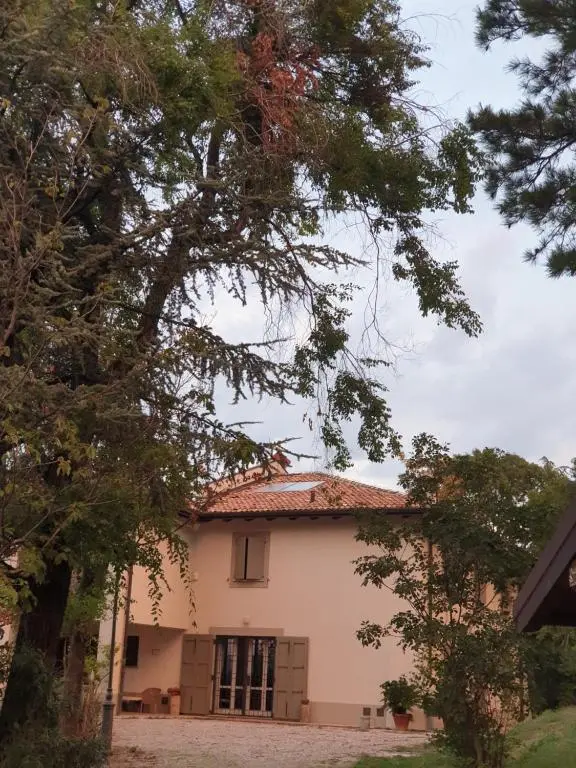 B & B Coralupi