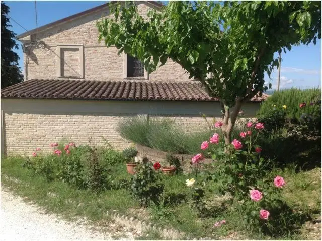 Ombra degli Ulivi B&B