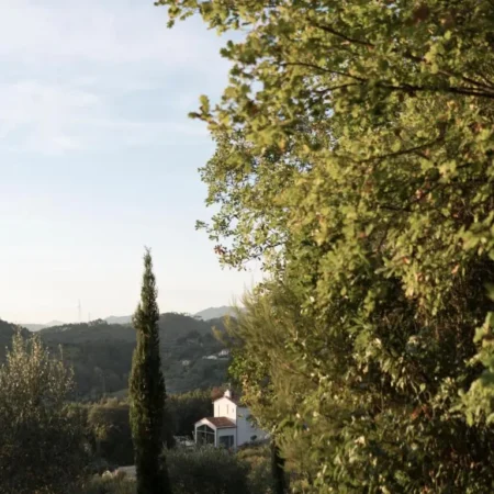 La Fustaia