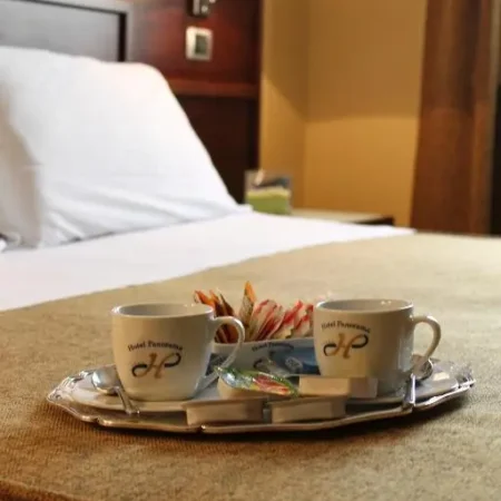 Hotel Panorama