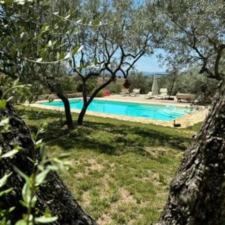 Agriturismo Uliveto Benedetti
