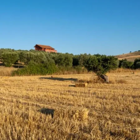 Agriturismo Rende