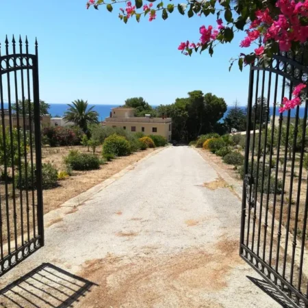 Mediterraneo