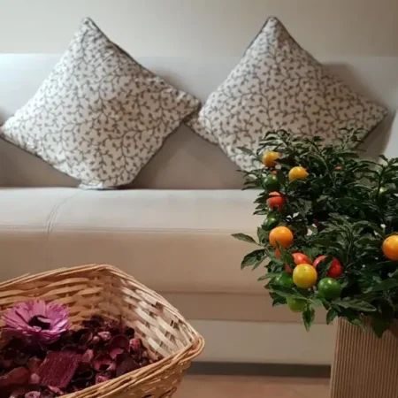 Veronetta lovely apartment