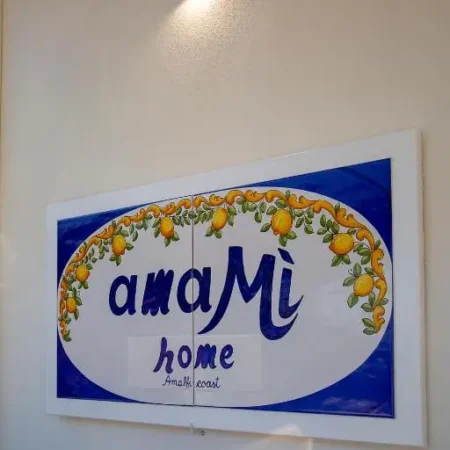 amaMi home