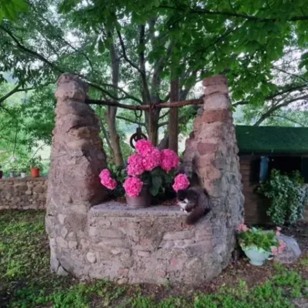 Agriturismo Case in collina