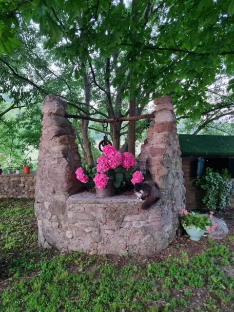 Agriturismo Case in collina